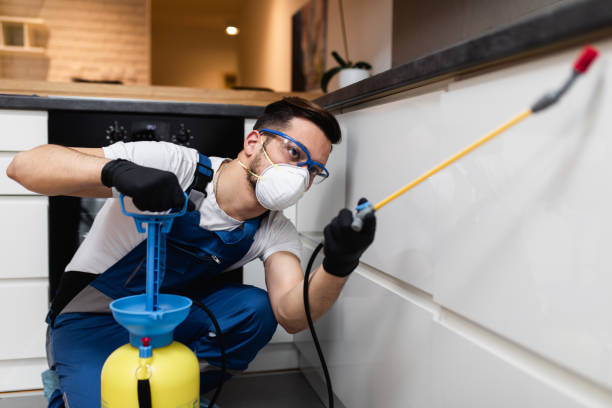 Best Rat Extermination Near Me  in Edina, MO