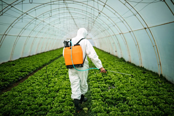 Best Best Pest Control Companies  in Edina, MO