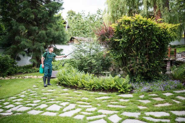  Edina, MO Pest Control Pros