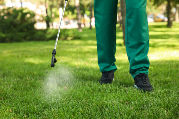Best Affordable Pest Control Services  in Edina, MO