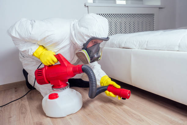 Best Best Pest Control Near Me  in Edina, MO
