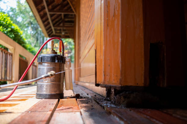 Best Cockroach Control Services  in Edina, MO