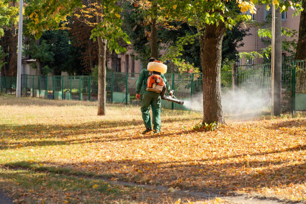 Best Rat Extermination Near Me  in Edina, MO