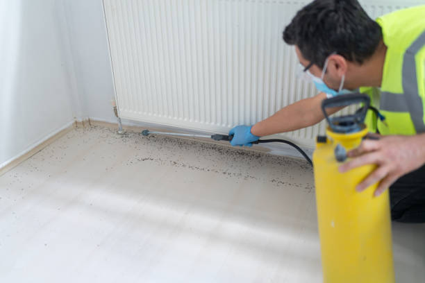 Trusted Edina, MO Pest Control Experts