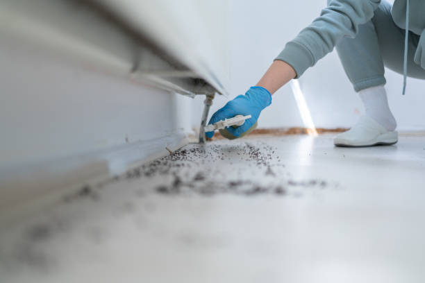 Best Best Pest Control Companies  in Edina, MO